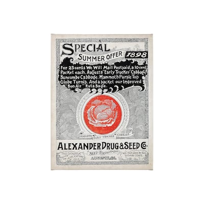 Antique Seed Packet XIIII (30 x 40) Canvas Art Print