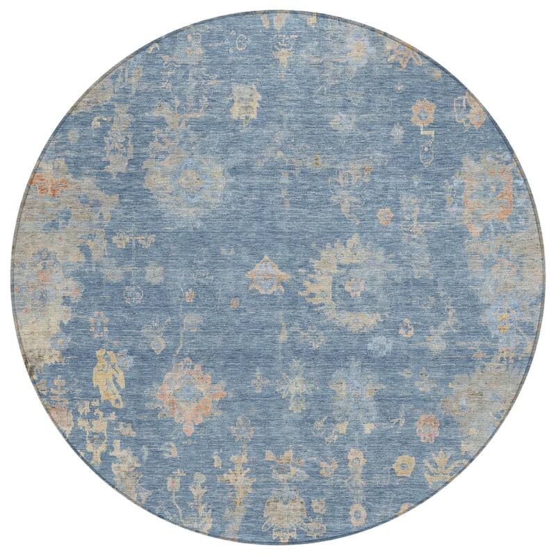 Machine Washable Indoor/ Outdoor Vintage Traditional Chantille Rug