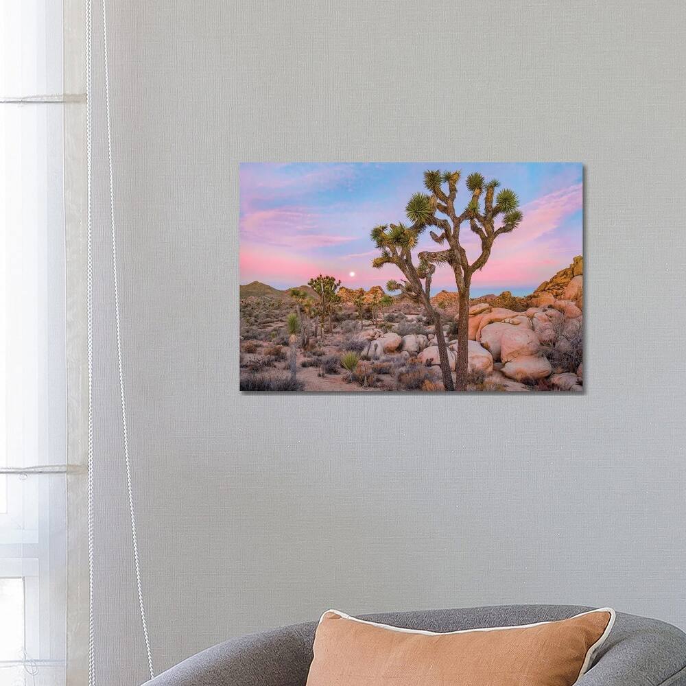 iCanvas "Joshua Tree In desert, Joshua Tree National Park, California" by Tim Fitzharris Canvas Print