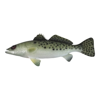 Spotted Sea Trout Replica Nautical Saltwater Fishing Wall Decor 28 ...