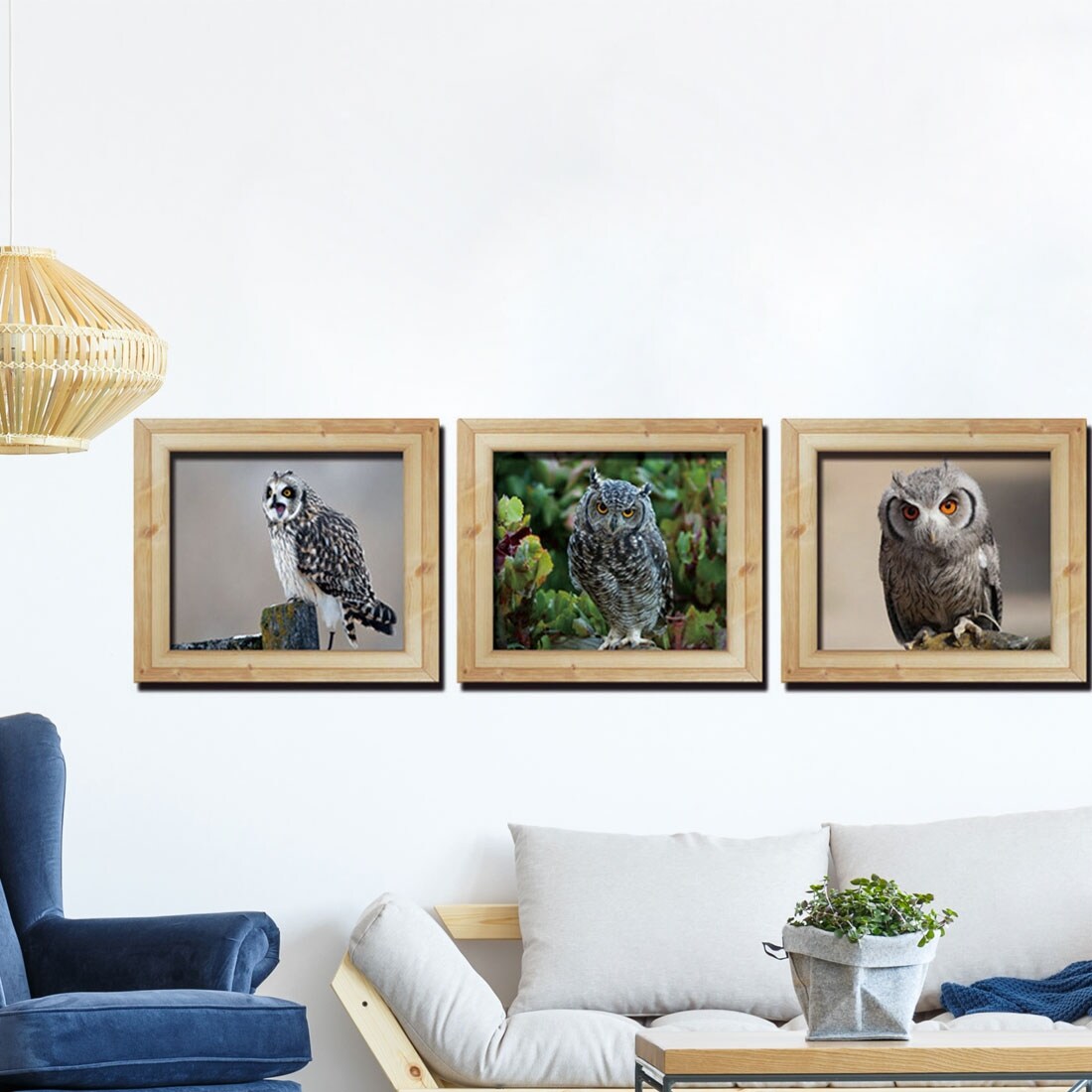 Shop 3d Owl Vinyl Removable Diy Frame Wall Art Sticker Set Of 3pcs