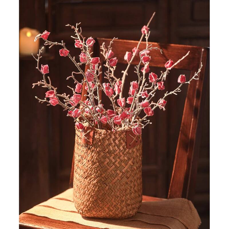 RusticReach Sujin Dried Fruit Branch Stem 28" Tall
