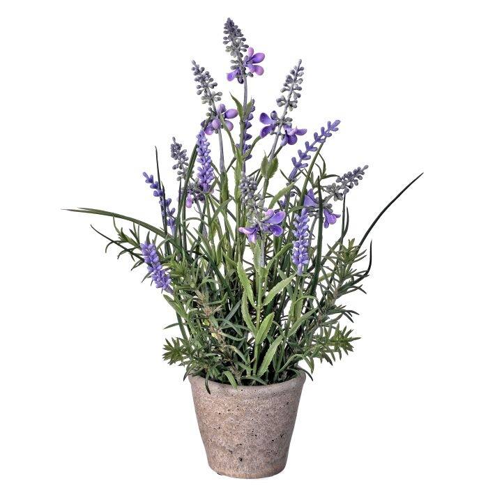 Plastic Lavender In Cement Pot 12"