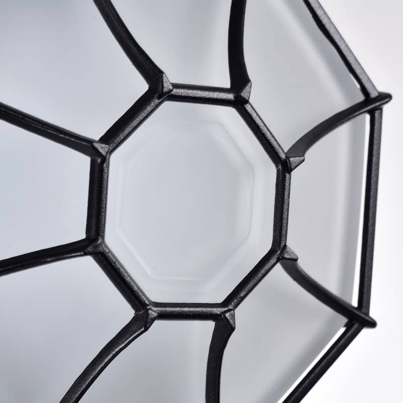 LED Spider Cage Fixture Black Finish with Frosted Glass