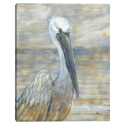 Golden Salty Pelican by Paul Brent Canvas Art Print