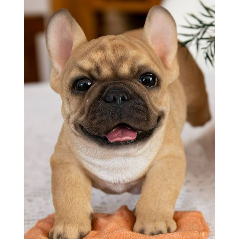 8.25" Mopping French Bulldog Outdoor Garden Statue