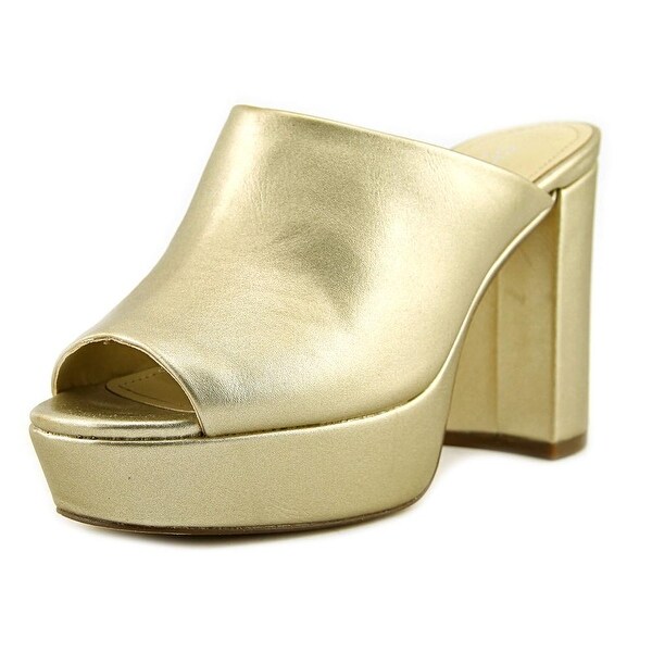 charles david slides