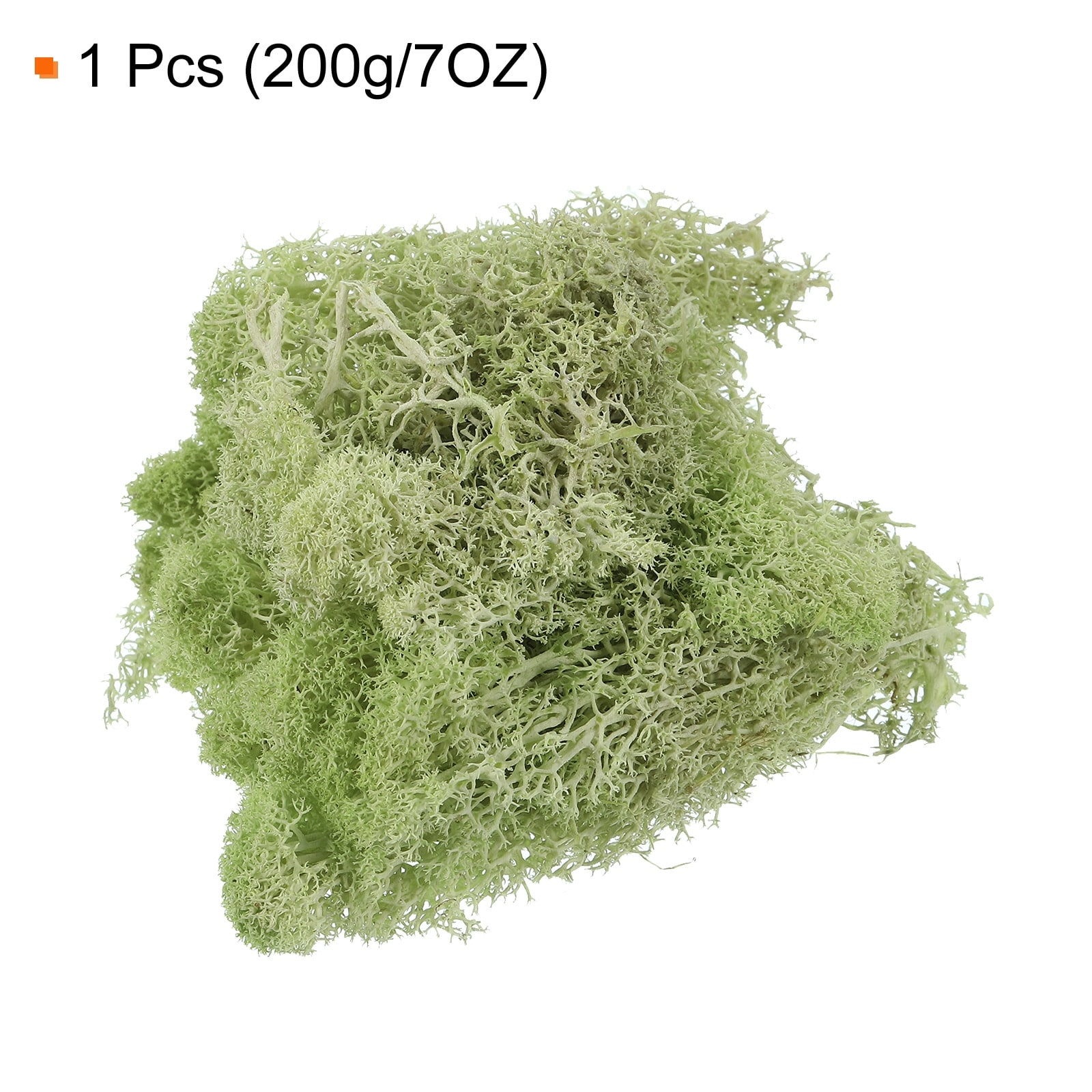 7OZ Moss Preserved Moss Artificial Moss for Craft Floral Project Decor -  38.2cm - Bed Bath & Beyond - 39638635