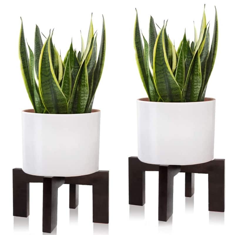 2 Pack Wood Plant Stand - 11.8 x 11.8 x 7 inches - Black