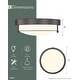 preview thumbnail 14 of 12, 12 Inch 2-Light Flush Mount Light Fixture, Modern Ceiling Light