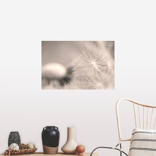 Shop White Dandelion Flower Poster Print On Sale Overstock