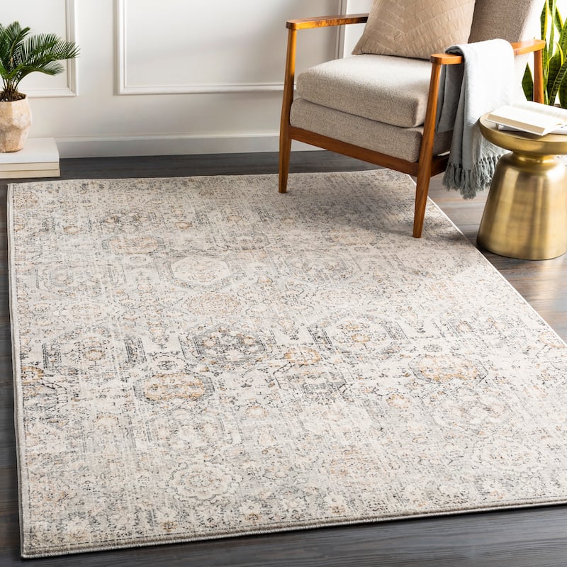 Livabliss Appingedam Vintage Medallion Area Rug - Beige - 5'3" x 7'3"