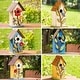 preview thumbnail 1 of 62, Glitzhome 10"H Multicolor Cute Distressed Solid Wood Birdhouse with 3D Flowers