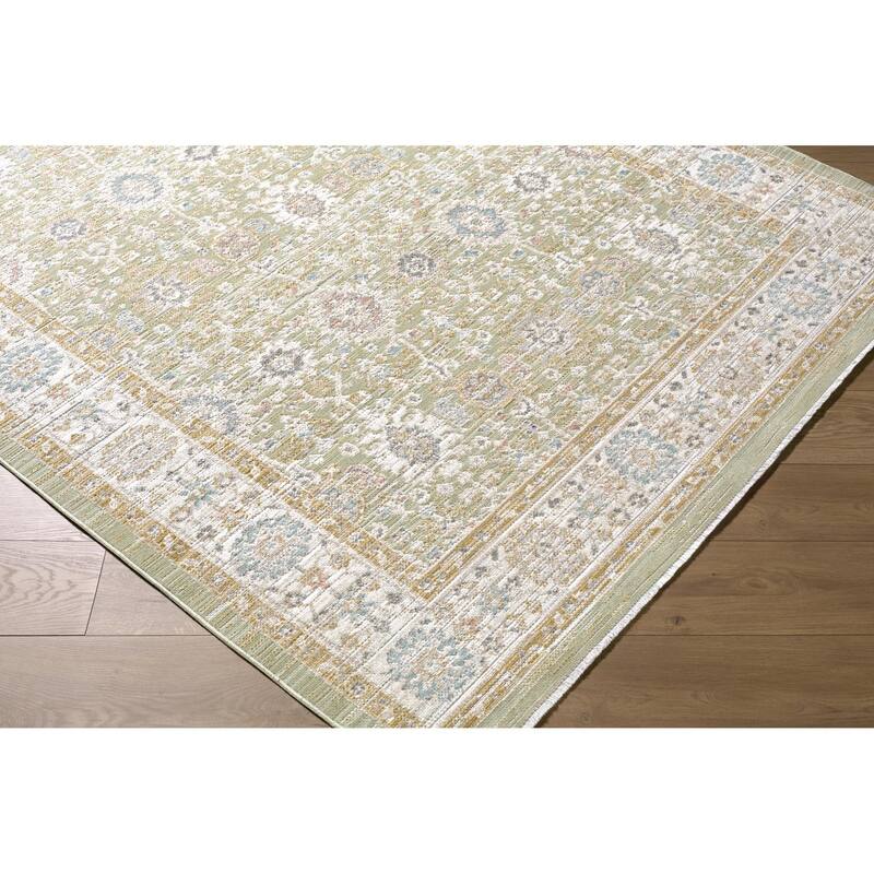 Livabliss Amir Traditional Area Rug