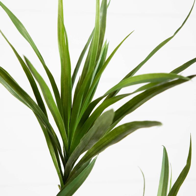 Artificial Dracaena Potted Tree - 6' - Green