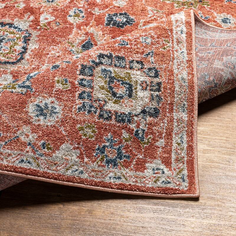 Artistic Weavers Lorcan Traditional Vintage Area Rug