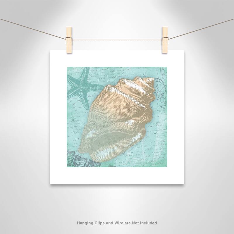 Nautical Shells II - Blue