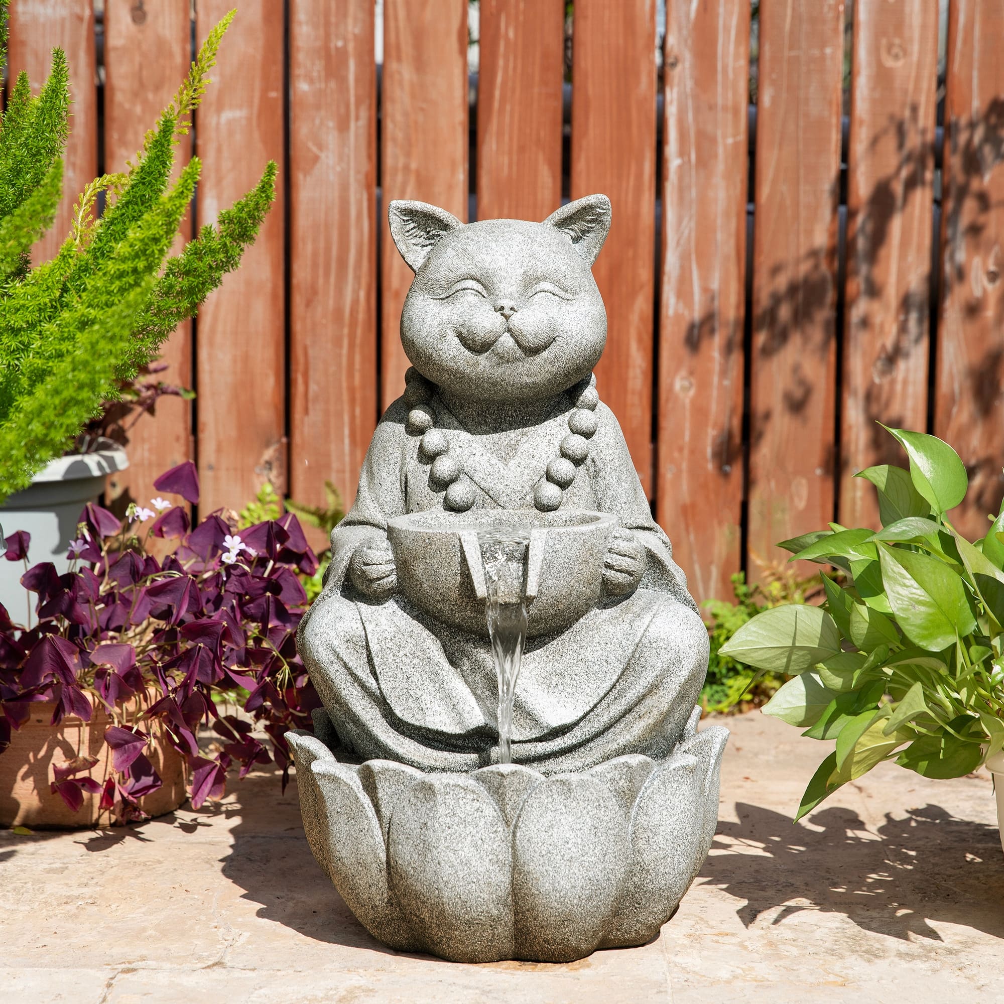 Option Cat