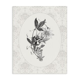 Stupell Vintage Botanical & Lace Canvas Wall Art Design By CAD Designs ...