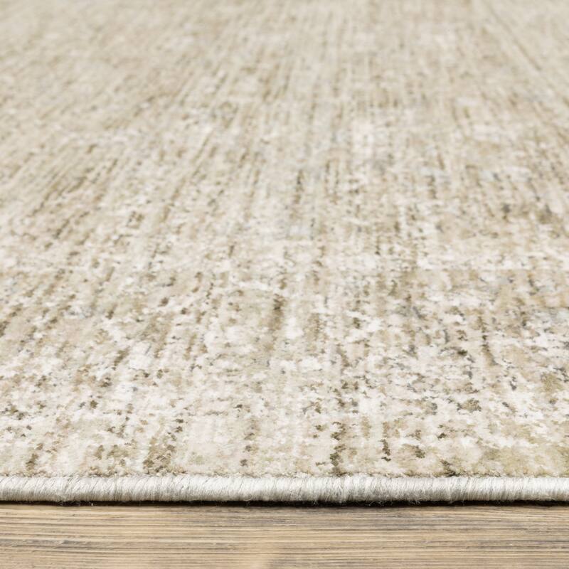 Amira Distressed Traditional Beige/ Grey Area Rug-