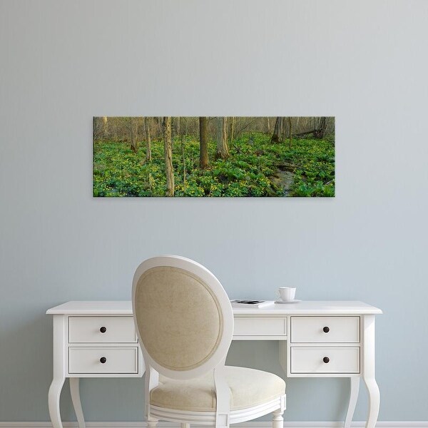 Easy Art Prints Panoramic Images's 'Trees among yellow flowers in the forest, Cedar Bog, Urbana, Ohio, USA' Canvas Art