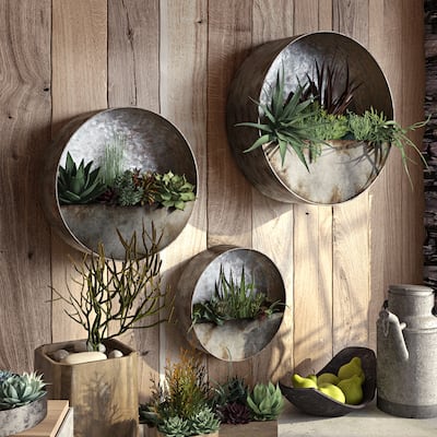 Aria Succulent Wall Planters (Set of 3) - 16"H x 16"W / 12.5"H x 12.5"W / 10"H x 10" W