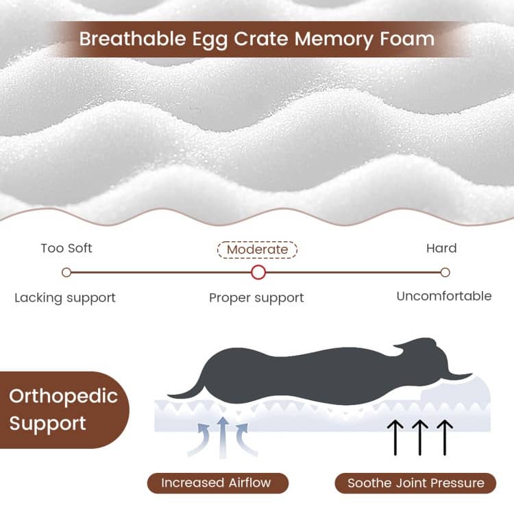 Orthopedic Dog Bed with Memory Foam Support for Large Dogs - 43"x 26" x 2"(L x W x H)