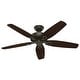 preview thumbnail 18 of 18, Hunter 52" Builder Outdoor Ceiling Fan with Pull Chain, Damp Rated