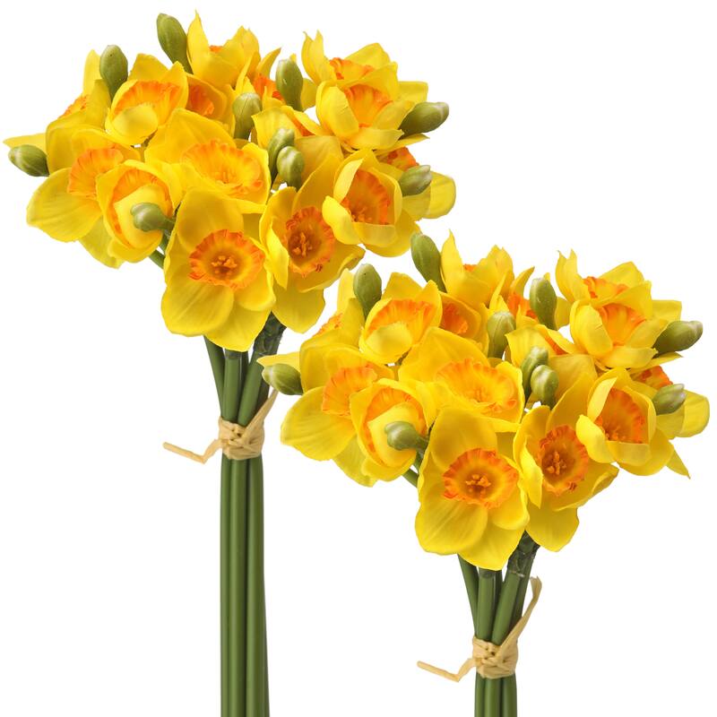 12" Narcissus Bundle