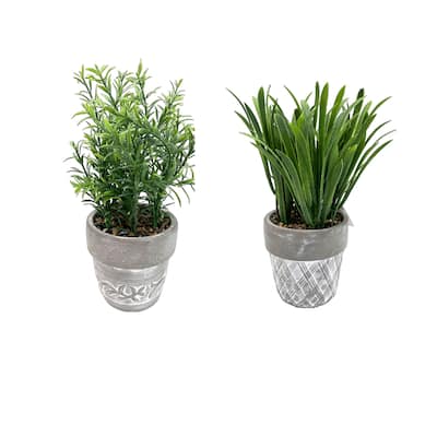 IH Casa Decor Artificial Plants In Ceramic Gray Pot Asstd - Set of 2