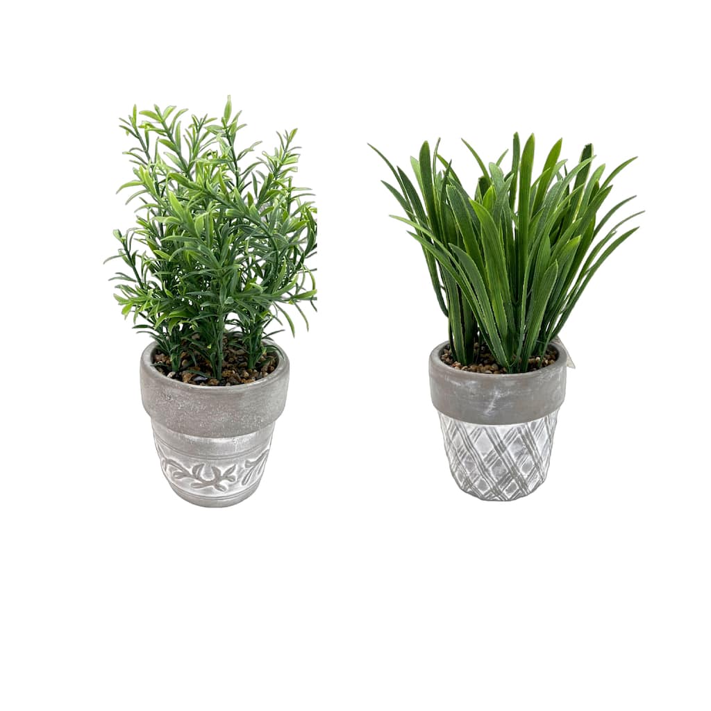 IH Casa Decor Artificial Plants In Ceramic Gray Pot Asstd - Set of 2