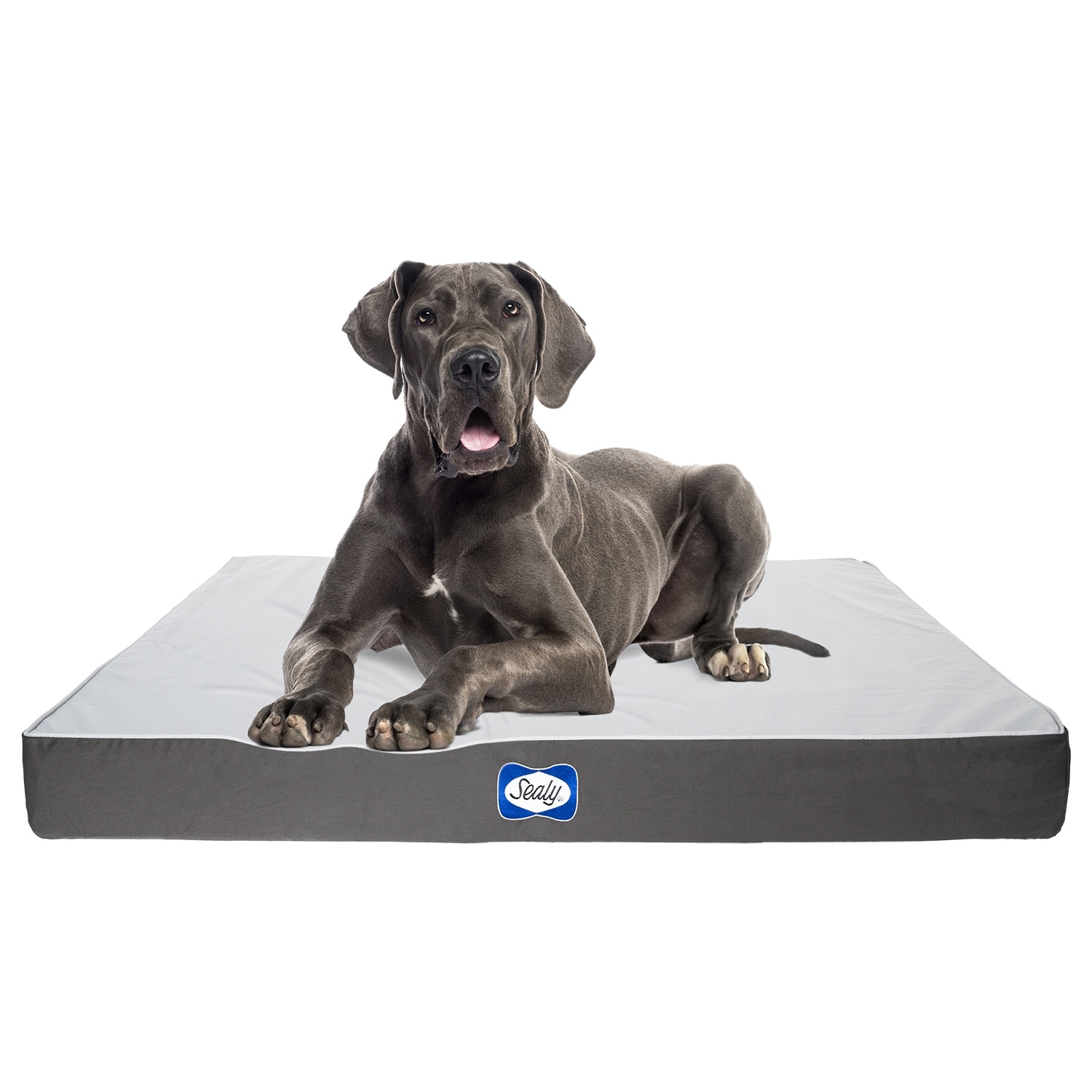 3 peaks dog mattress