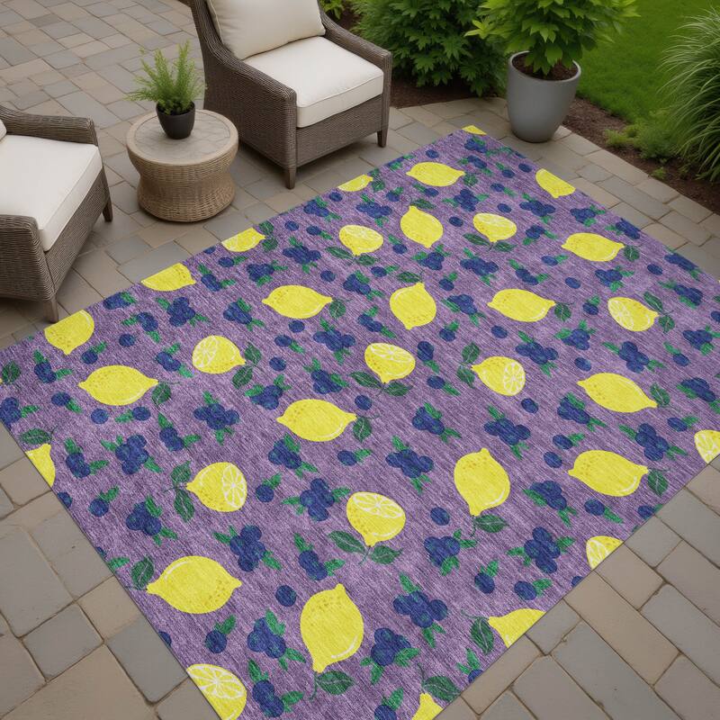 Machine Washable Indoor/ Outdoor Citrus Berry Chantille Rug - Lavender - 5' x 7'6"