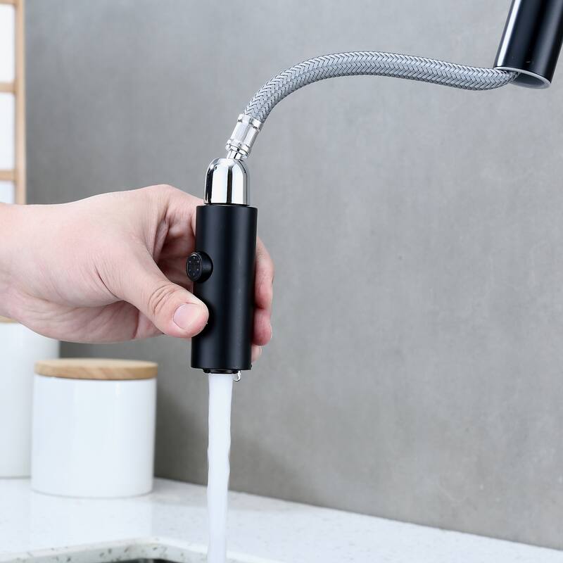 Luxier KTS21 Single Handle Pull Down Sprayer Kitchen Faucet