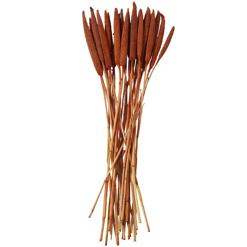 Dried Plant Bunny Tail Home Decor Natural Foliage - White, Red, Dark Brown, Orange, Green, Pink, Yellow - Roche River Decor - Orange