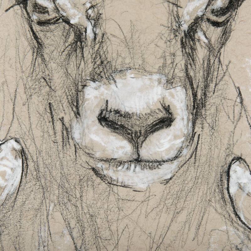 Sketch of Animal I (Wild Sheep) Framed Art Print