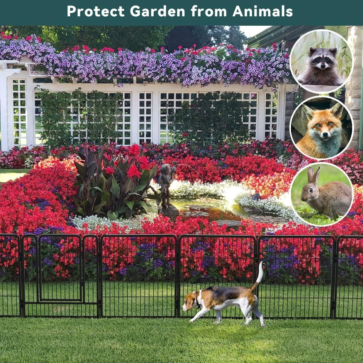 Temporary fence for pet yard yard Black