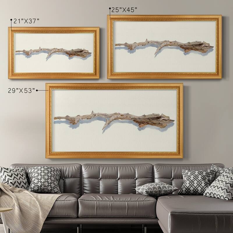 Driftwood Study I Premium Framed Canvas- Ready to Hang