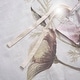 preview thumbnail 41 of 49, Madison Park Gisele Cotton Printed Duvet Cover Set