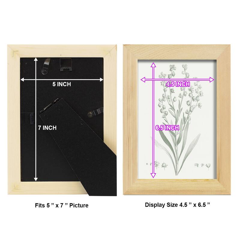 Botanical Study in Sage I -Framed Print w/glass-Cherry Red
