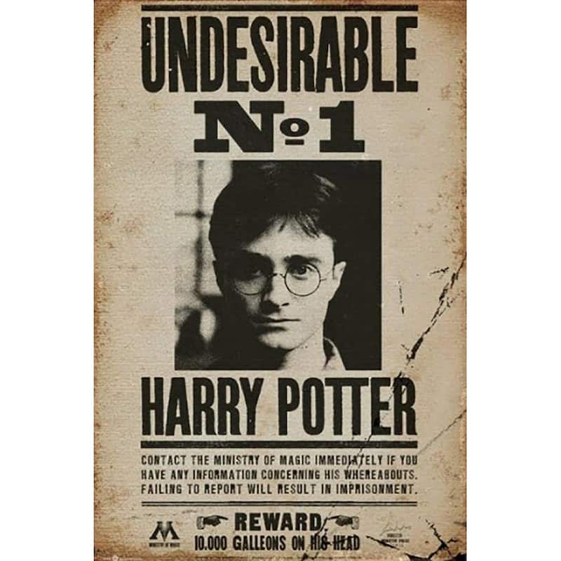 Harry Potter - Undesirable No 1 Wanted Art Poster - 24 x 36 Inch