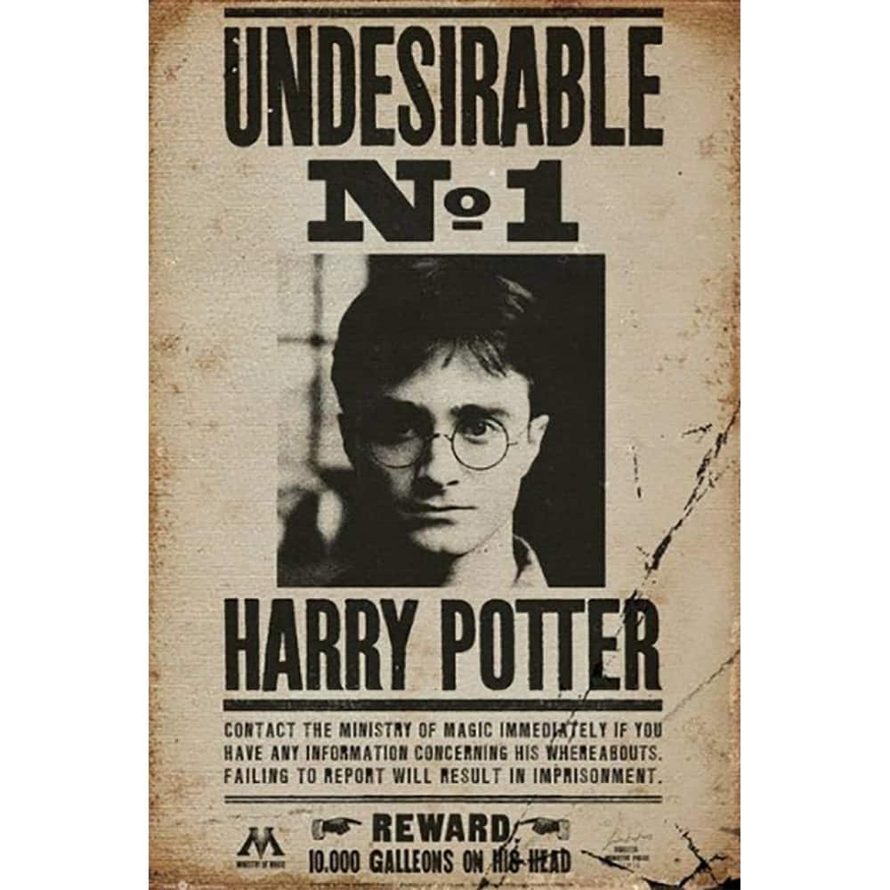 Harry Potter - Undesirable No 1 Wanted Art Poster - 24 x 36 Inch