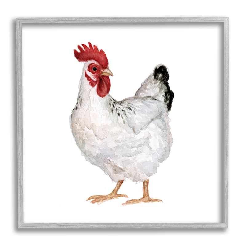 Stupell Quaint Chicken Watercolor Painting Farm Hen Portrait Framed Wall Art - White