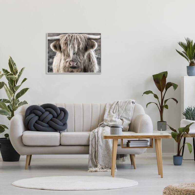 Stupell Detailed Highlands Cattle Rural Farm Animal Photography Framed Wall Art, Design by Danita Delimont