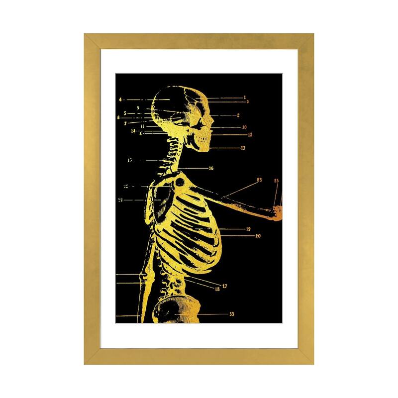 iCanvas "Skeleton Side" by Gab Fernando - Gold - 24x16x1