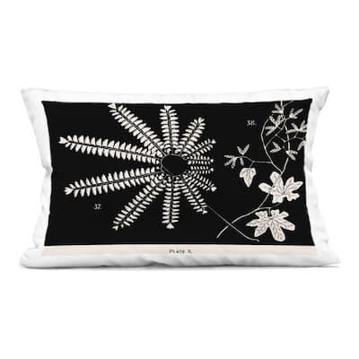 Stupell Ferns & Leaves on Black Decorative Printed Throw Pillow Design by Phillipa Katz