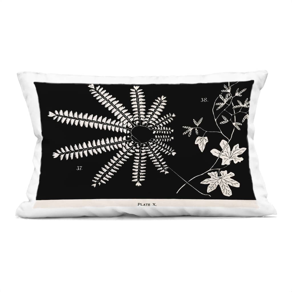 Stupell Ferns & Leaves on Black Decorative Printed Throw Pillow Design by Phillipa Katz