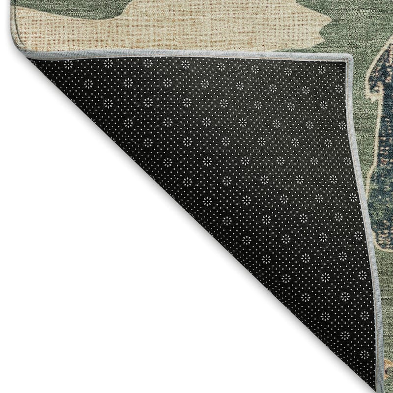 Machine Washable Indoor/ Outdoor Modern Bear Chantille Rug