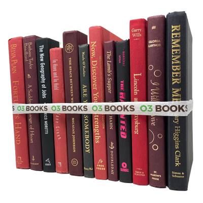 Ruby Pinnacle Decorative Books Red Burgundy and Black - N/A