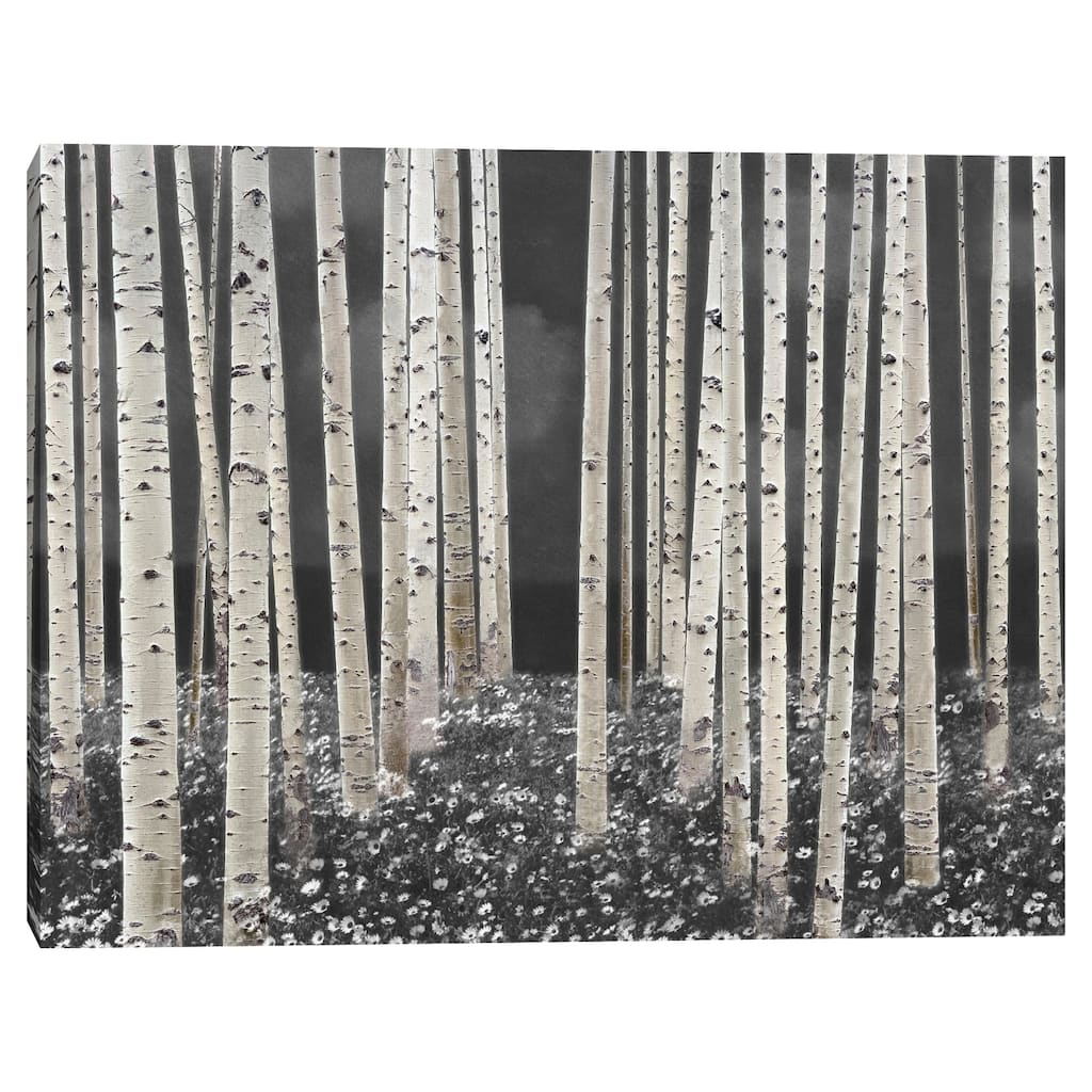 Birch Forest Dusk by Midori Greyson Canvas Art Print